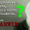 Darwin selezione adattamento